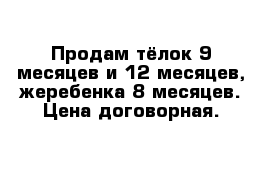 Продам тёлок 9 месяцев и 12 месяцев, жеребенка 8 месяцев. Цена договорная. 